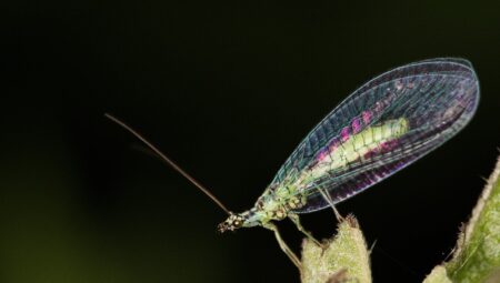 Boşanma Davasında Kadın Hakları İçin İstanbul Bahçelievler’de Uzman Avukatlar