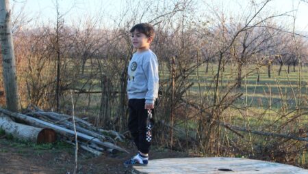 Boşanma Sürecinde Çocukların Eğitim Haklarını Koruma Amaçlı İstanbul Beşiktaş Avukatları