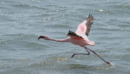 Boşanma Sürecinde İstanbul Maltepe’de Kadın Haklarını Koruyan Avukatlar