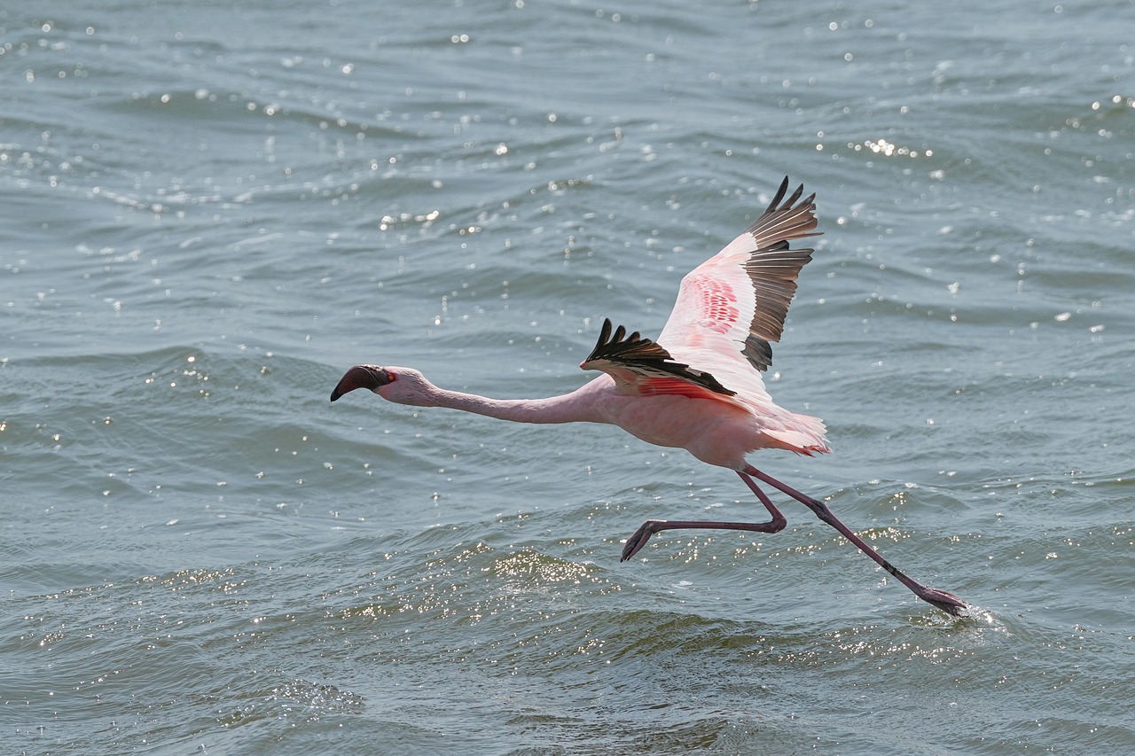 Boşanma Sürecinde İstanbul Maltepe’de Kadın Haklarını Koruyan Avukatlar