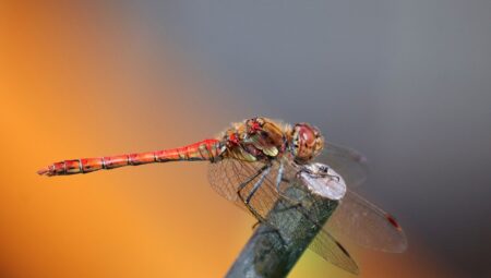 Boşanma Sürecinde Kadın Haklarını Koruma Amaçlı İstanbul Küçükçekmece Avukatları