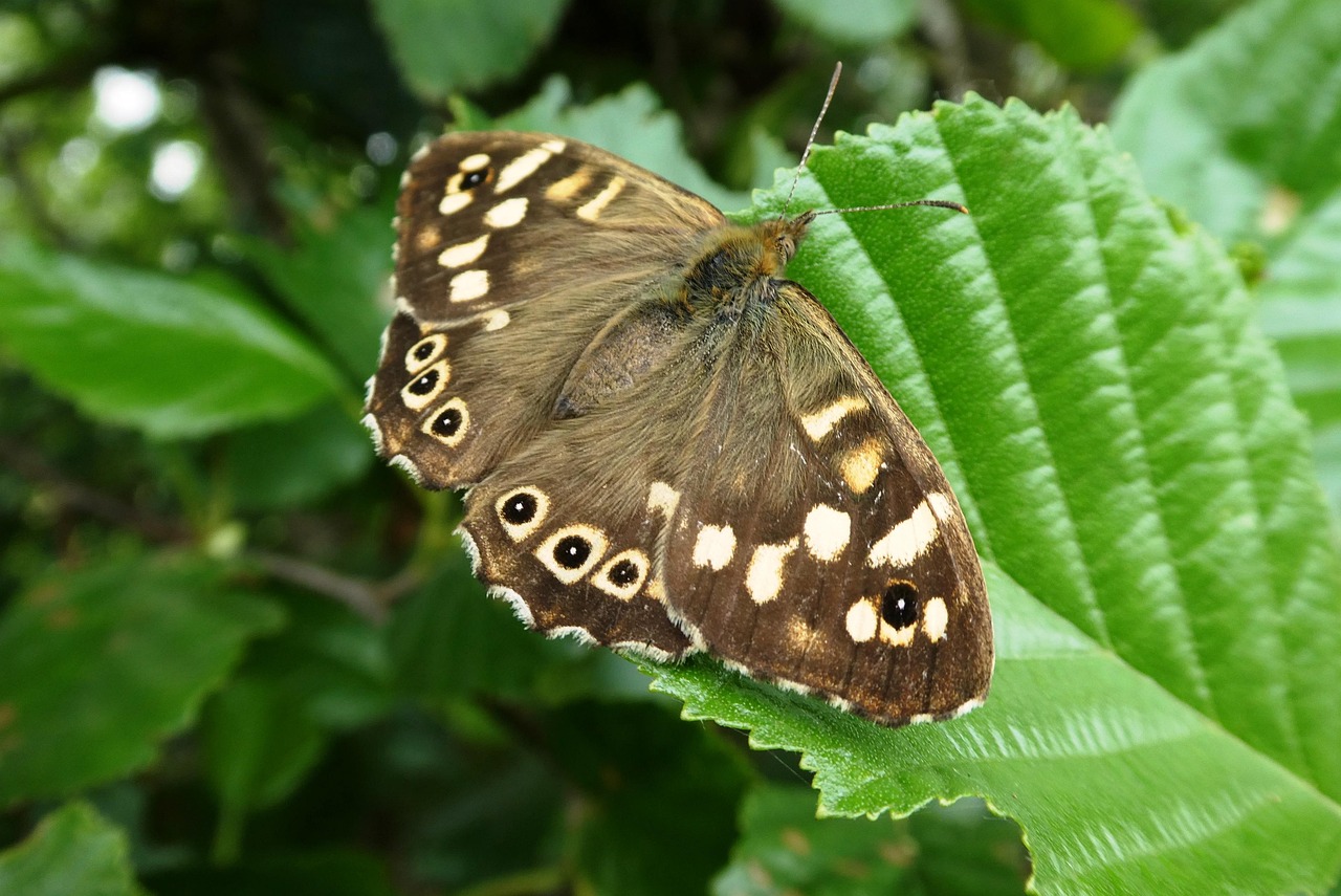 Boşanma Sürecinde Ortak Malların Bölüşümü İçin İstanbul Arnavutköy’de Avukat Önerileri