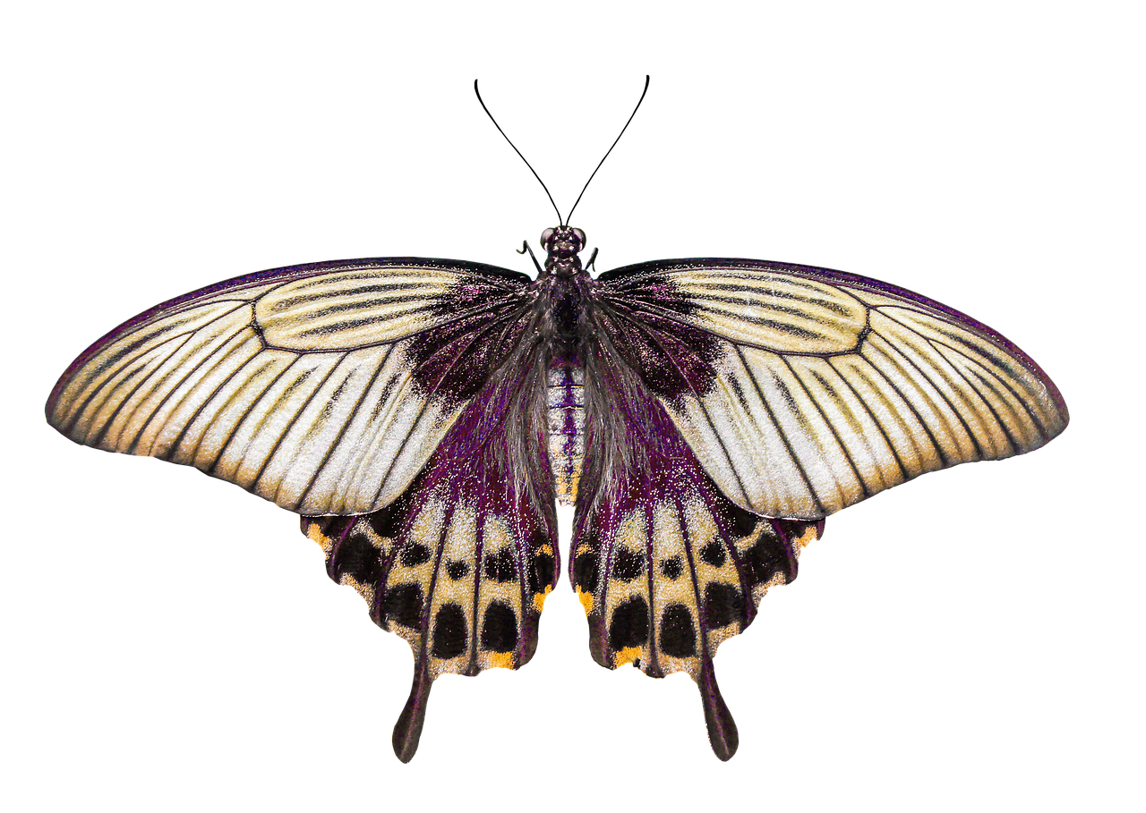 Çekişmeli Boşanma Sürecinde İstanbul Kağıthane’de Lider Hukuk Büroları