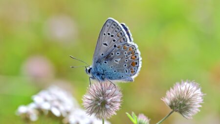 İstanbul Sarıyer’de Çekişmeli Boşanma Davalarında Uzman Avukatlar