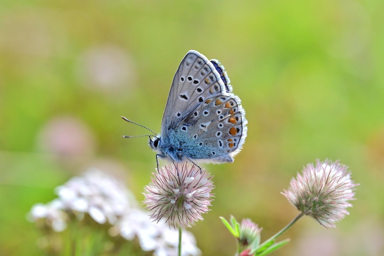 İstanbul Sarıyer’de Çekişmeli Boşanma Davalarında Uzman Avukatlar