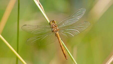 İstanbul Ümraniye’de Çekişmeli Boşanma Sürecinde Profesyonel Hukuki Destek