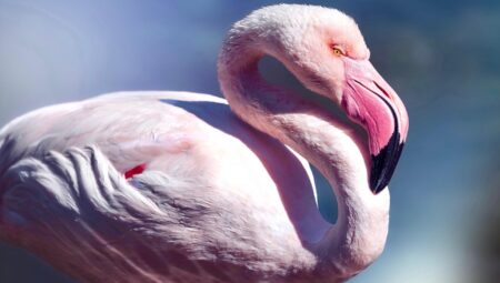 Velayet Davalarında İstanbul Zeytinburnu’nda Uzman Boşanma Avukatları